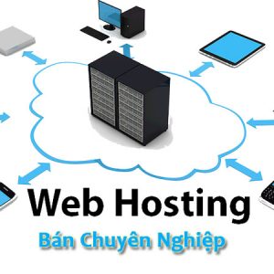 Cho thuê Web Hosting tốc độ