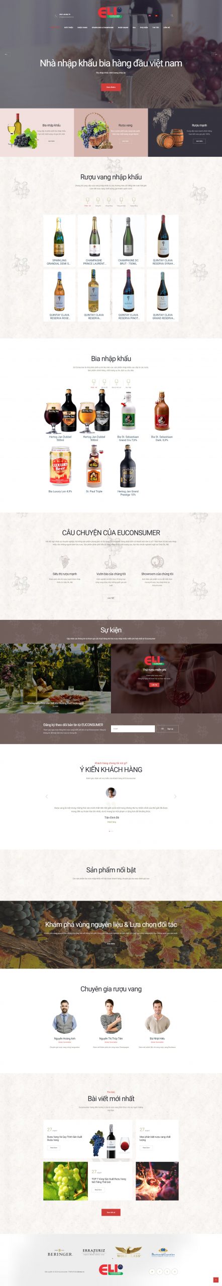 Giao diện thiết kế website công ty Euconsumer
