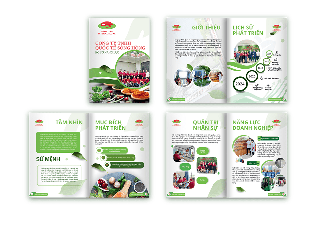 Thiết kế profile công ty Sông Hồng